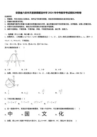 安徽省六安市天堂寨镇暖流中学2024年中考数学考试模拟冲刺卷含解析.doc