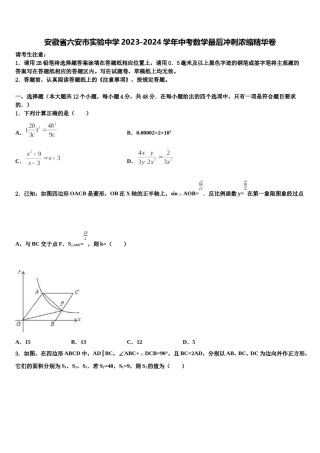 安徽省六安市实验中学2023-2024学年中考数学最后冲刺浓缩精华卷含解析.doc