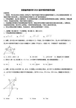 安徽省养鹿中学2024届中考联考数学试题含解析.doc