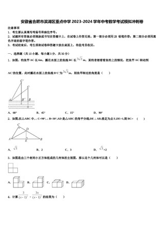 安徽省合肥市滨湖区重点中学2023-2024学年中考数学考试模拟冲刺卷含解析.doc