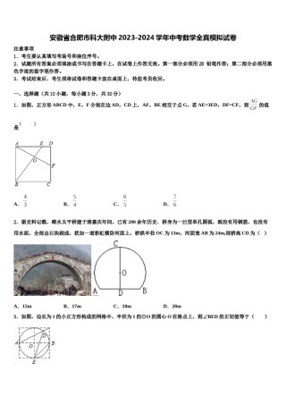 安徽省合肥市科大附中2023-2024学年中考数学全真模拟试卷含解析.doc