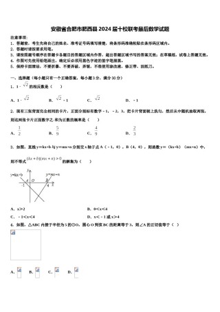 安徽省合肥市肥西县2024届十校联考最后数学试题含解析.doc