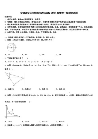 安徽省安庆市桐城市达标名校2024届中考一模数学试题含解析.doc
