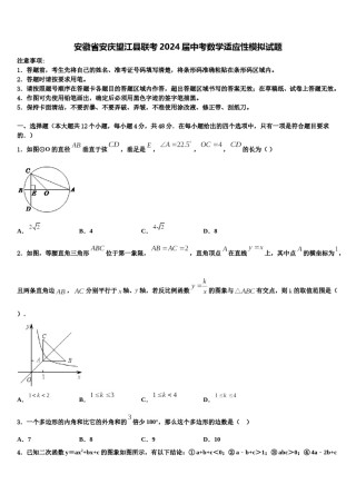 安徽省安庆望江县联考2024届中考数学适应性模拟试题含解析.doc