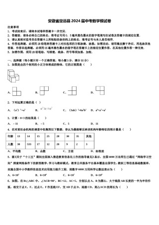 安徽省定远县2024届中考数学模试卷含解析.doc