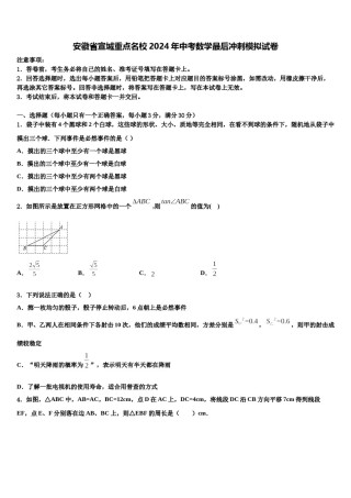 安徽省宣城重点名校2024年中考数学最后冲刺模拟试卷含解析.doc