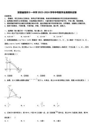 安徽省宿州十一中学2023-2024学年中考数学全真模拟试卷含解析.doc