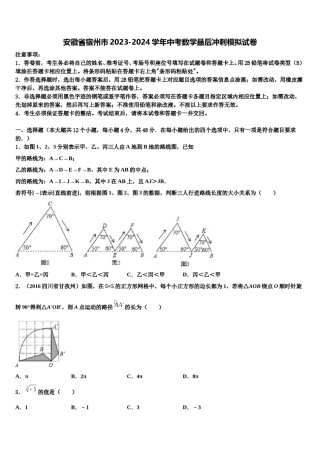 安徽省宿州市2023-2024学年中考数学最后冲刺模拟试卷含解析.doc