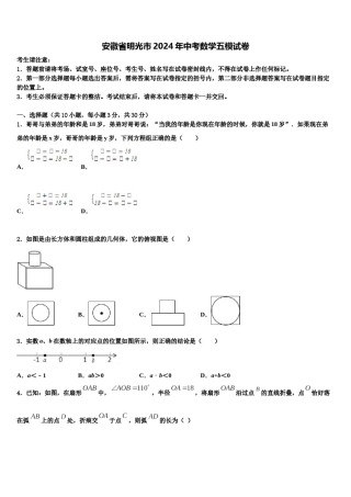 安徽省明光市2024年中考数学五模试卷含解析.doc