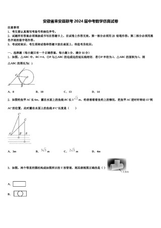 安徽省来安县联考2024届中考数学仿真试卷含解析.doc
