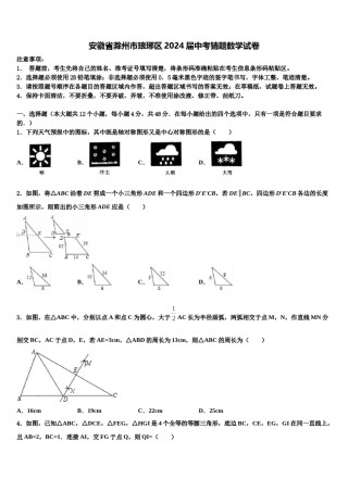 安徽省滁州市琅琊区2024届中考猜题数学试卷含解析.doc