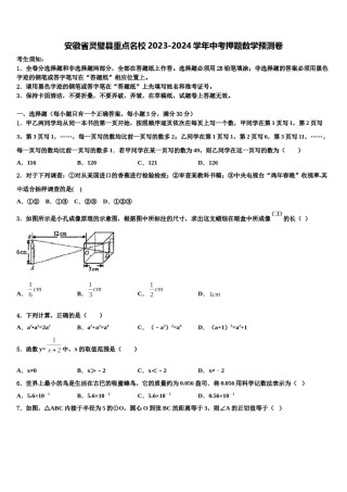 安徽省灵璧县重点名校2023-2024学年中考押题数学预测卷含解析.doc