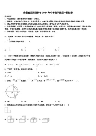 安徽省芜湖县联考2024年中考数学最后一模试卷含解析.doc