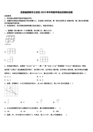 安徽省铜陵市义安区2024年中考数学适应性模拟试题含解析.doc