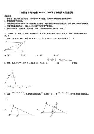 安徽省阜阳市名校2023-2024学年中考数学四模试卷含解析.doc