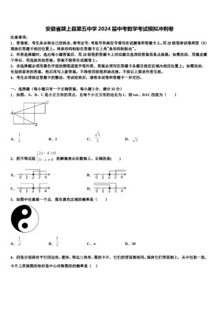 安徽省颍上县第五中学2024届中考数学考试模拟冲刺卷含解析.doc