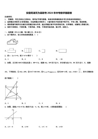 安徽芜湖无为县联考2024年中考数学猜题卷含解析.doc