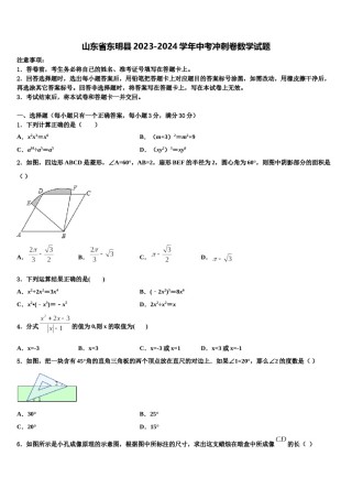 山东省东明县2023-2024学年中考冲刺卷数学试题含解析.doc