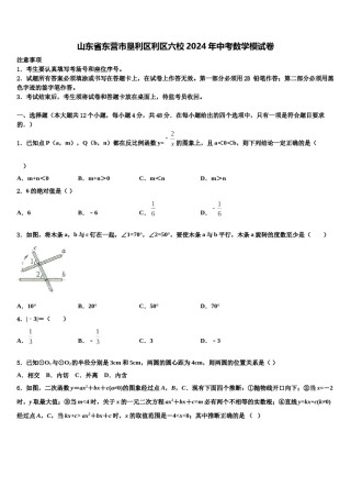山东省东营市垦利区利区六校2024年中考数学模试卷含解析.doc