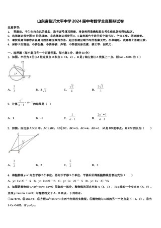 山东省临沂太平中学2024届中考数学全真模拟试卷含解析.doc