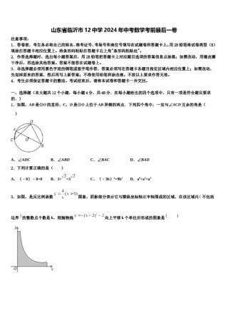 山东省临沂市12中学2024年中考数学考前最后一卷含解析.doc