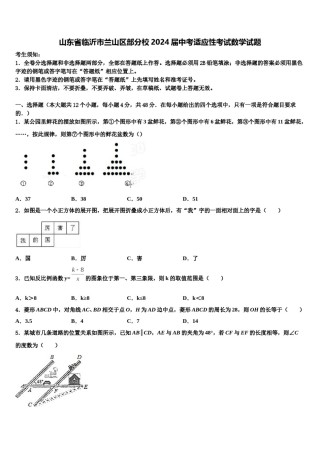 山东省临沂市兰山区部分校2024届中考适应性考试数学试题含解析.doc