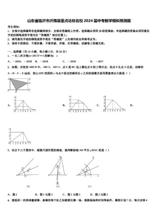 山东省临沂市沂南县重点达标名校2024届中考数学模拟预测题含解析.doc