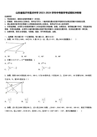 山东省临沂市重点中学2023-2024学年中考数学考试模拟冲刺卷含解析.doc