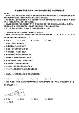 山东省临沂市重点中学2024届中考数学最后冲刺浓缩精华卷含解析.doc