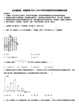 山东省临清、高唐两地2023-2024学年中考数学对点突破模拟试卷含解析.doc