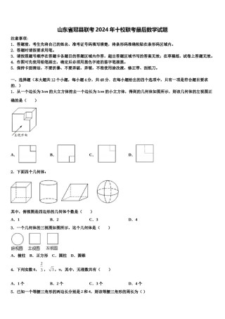 山东省冠县联考2024年十校联考最后数学试题含解析.doc