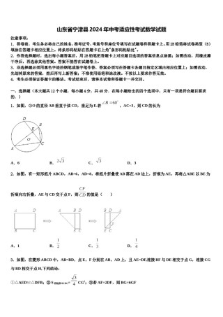 山东省宁津县2024年中考适应性考试数学试题含解析.doc
