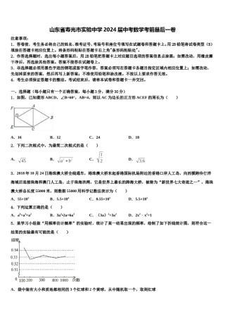 山东省寿光市实验中学2024届中考数学考前最后一卷含解析.doc