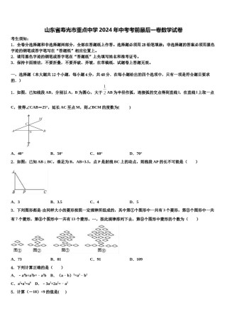 山东省寿光市重点中学2024年中考考前最后一卷数学试卷含解析.doc