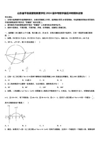 山东省平邑县蒙阳新星学校2024届中考数学最后冲刺模拟试卷含解析.doc