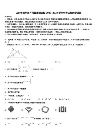 山东省德州市齐河县市级名校2023-2024学年中考二模数学试题含解析.doc