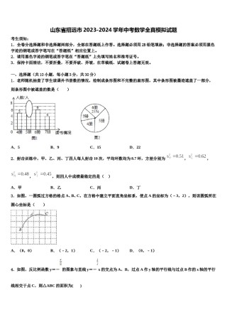 山东省招远市2023-2024学年中考数学全真模拟试题含解析.doc