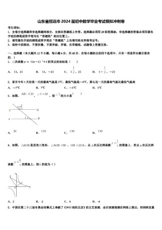 山东省招远市2024届初中数学毕业考试模拟冲刺卷含解析.doc