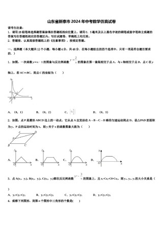 山东省新泰市2024年中考数学仿真试卷含解析.doc