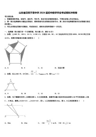 山东省日照于里中学2024届初中数学毕业考试模拟冲刺卷含解析.doc