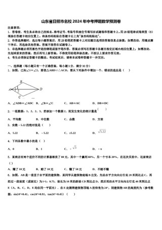 山东省日照市名校2024年中考押题数学预测卷含解析.doc