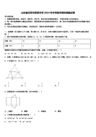 山东省日照市新营中学2024年中考数学模拟精编试卷含解析.doc