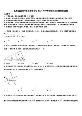 山东省日照市莒县市级名校2024年中考数学对点突破模拟试卷含解析.doc