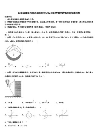 山东省曲阜市重点达标名校2024年中考数学考试模拟冲刺卷含解析.doc