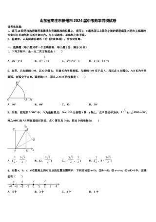 山东省枣庄市滕州市2024届中考数学四模试卷含解析.doc
