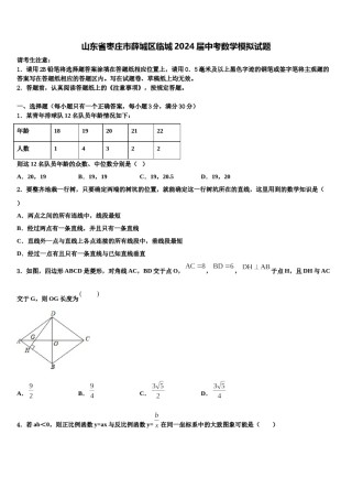 山东省枣庄市薛城区临城2024届中考数学模拟试题含解析.doc