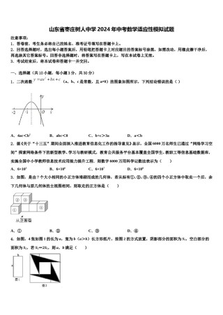山东省枣庄树人中学2024年中考数学适应性模拟试题含解析.doc