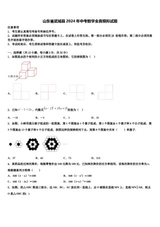 山东省武城县2024年中考数学全真模拟试题含解析.doc