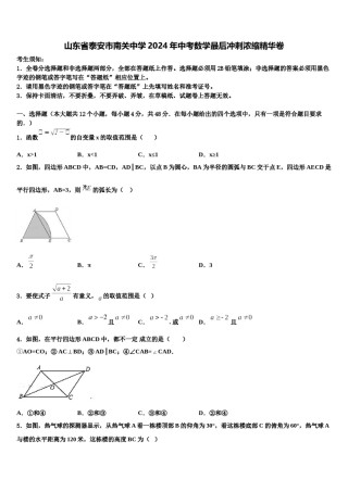 山东省泰安市南关中学2024年中考数学最后冲刺浓缩精华卷含解析.doc