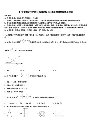 山东省泰安市岱岳区市级名校2024届中考数学仿真试卷含解析.doc
